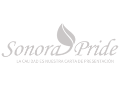 Sonora Pride